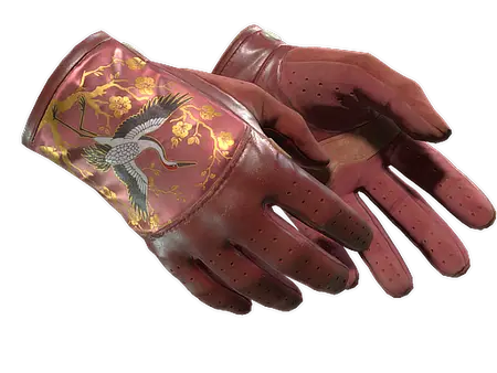 ★ Driver Gloves